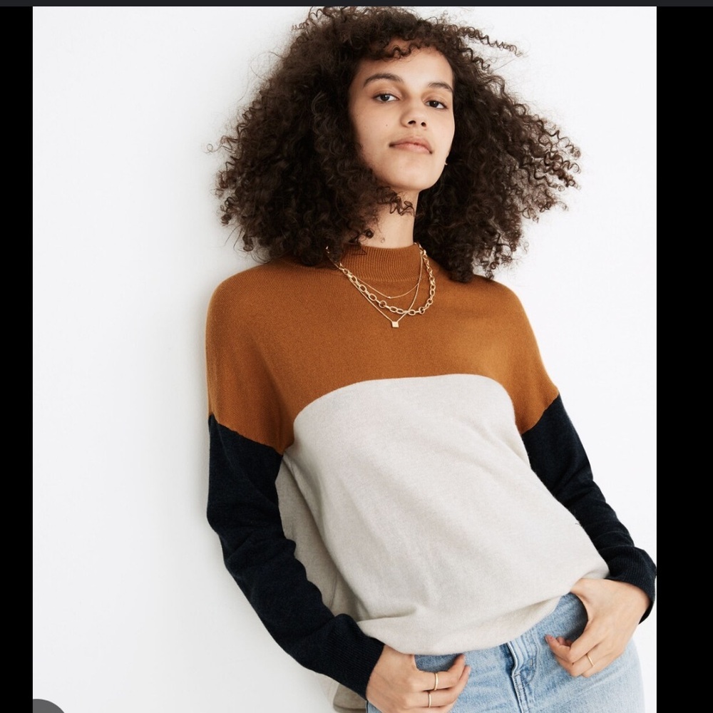Madewell Colorblock Turtleneck Sweater - Brown, Cream, and Black